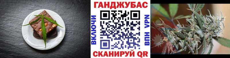 где можно купить   omg как войти  Печенье с ТГК конопля  Сланцы 
