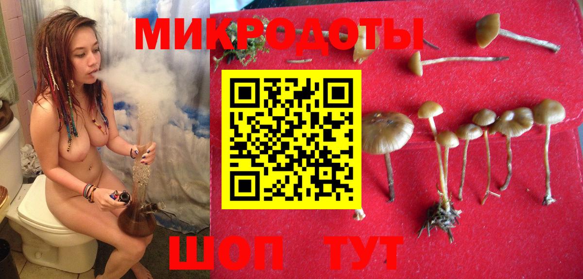 Галлюциногенные грибы Cubensis  Вход с VPN  Сланцы 